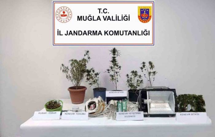 Bodrum, Milas Ve Seydikemer’de Uyuşturucu Operasyonu