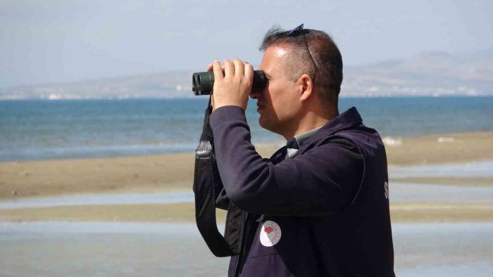 İnci Kefali Avcılarına Göz Açtırılmıyor