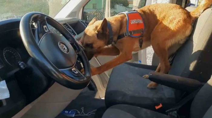 Narkotik Köpeği ’yalman’ Vites Kutusundaki Uyuşturucuyu Buldu