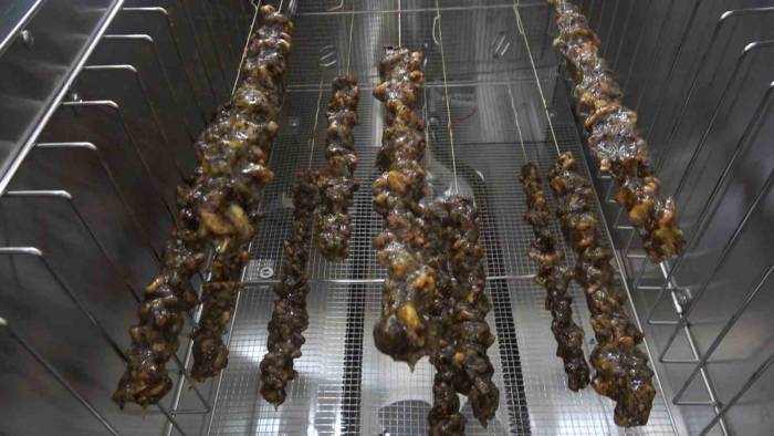 Girişimci Kadınlar Türkiye’de İlk Kez Ürettikleri Kivi Sucuğunun Patentini Aldı