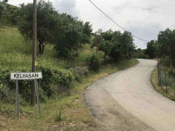 Bin 300 Rakımda Yetiştirilen Çilek Çiftçinin Yüzünü Güldürüyor