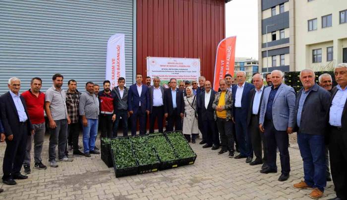 Bingöl’de Yüzde 75 Hibe İle 630 Bin Sebze Fidesi Dağıtıldı
