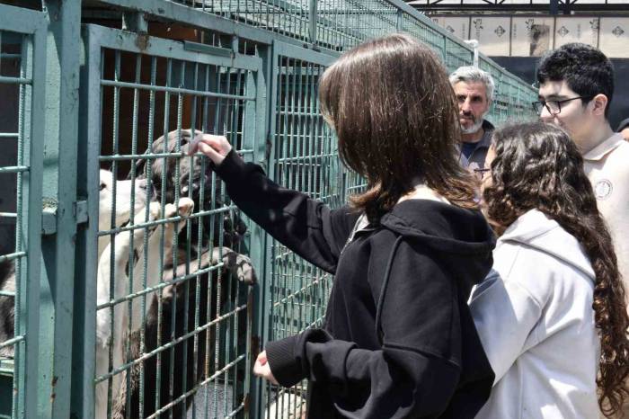 Öğrenciler, Esenyurt Belediyesi’nin Modern Hayvan Bakımevi’ni Ziyaretti