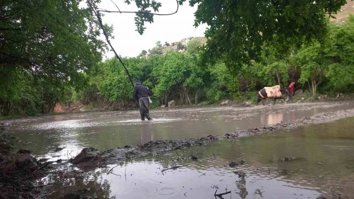 Siirt’te Köylüler Yıllardır Hayvan Gücüyle Tohumları Toprakla Buluşturdu