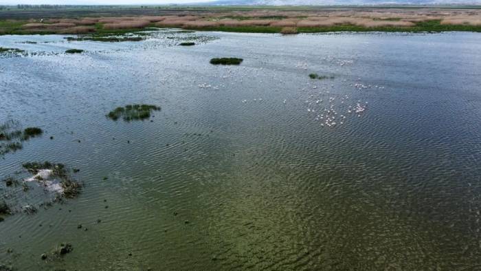 Bir Çok Yerinde Kuruma Başlayan Eber Gölü İle İlgili Sevindiren Gelişme