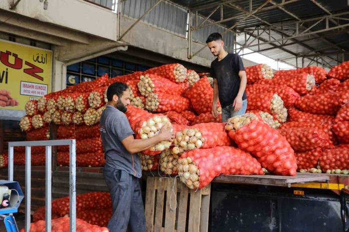 Soğan Fiyatları Gündemden Düşecek