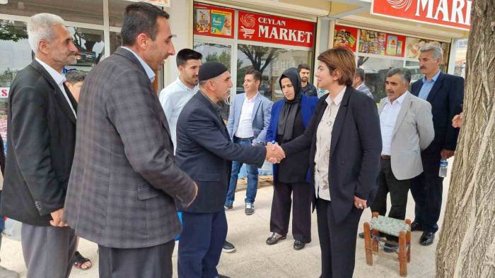 Diyarbakır’da Ak Partili Vekiller Teşekkür Turuna Çıktı: Cumhurbaşkanı Erdoğan İçin Destek İstedi