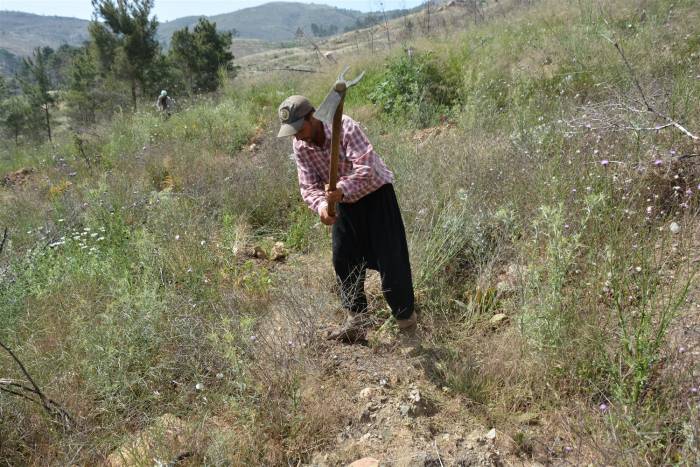 Mersin’de Yanan Orman Sahalarında Bakım Çalışmaları Tamamlandı