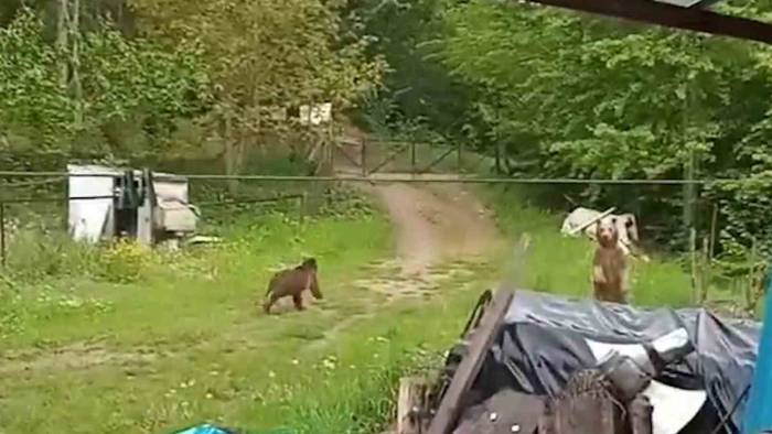 Bahçesine Giren Ayıları Böyle Kovdu
