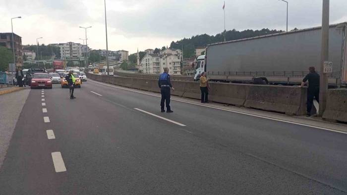 Beton Bariyerlere Sıkışan Kedi İçin Trafiği Durdurdular: "helal Olsun Size"