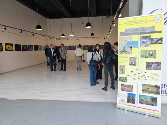 Kütahya’da ’dünya Biyoçeşitlilik’ Günü Etkinlikleri