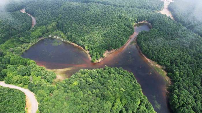 Karlık Yaylası’nda Doğa Görsel Şölen Sunuyor