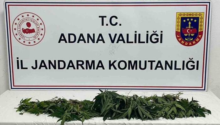 Adana’da Jandarmadan “huzur Ve Güven” Uygulaması