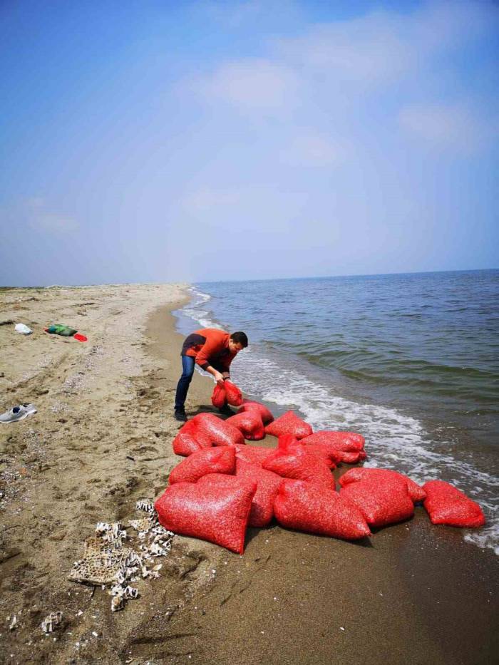 Yasak Dönemde Midye Avcılığı Denetimi Devam Ediyor