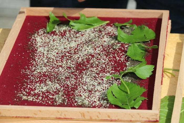 Elazığ’da Eğitimi Tamamlayan 25 Üreticiye 90 Kutu İpek Böceği Larvası Dağıtıldı