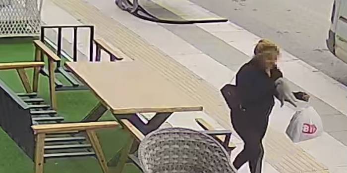 Sahipli Kediyi Kucağına Alıp Kayıplara Karıştı