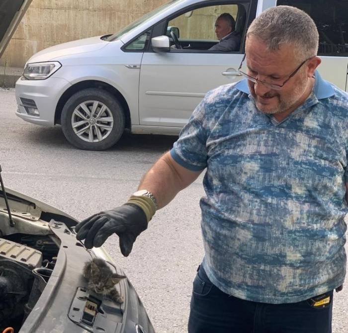 Manisa’da Sürücünün Dikkati Yavru Kediyi Kurtardı