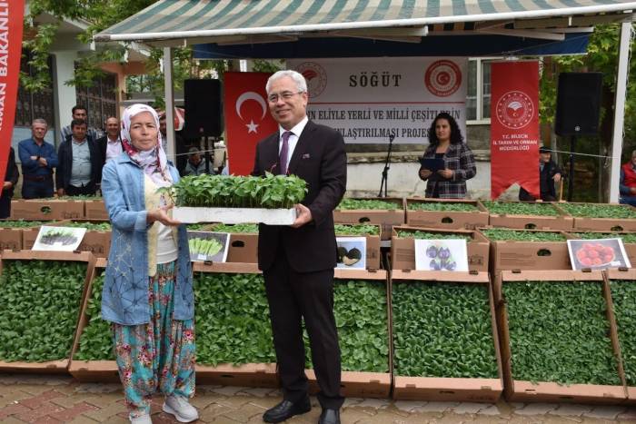100 Bin Adet Yerli Ve Milli Çeşit Sebze Fidesi Toprakla Buluştu