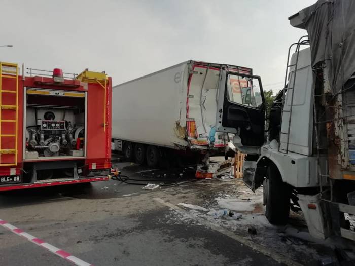 Yola Çıkan Yavru Köpeği Kurtarmak İsterken Canından Oldu