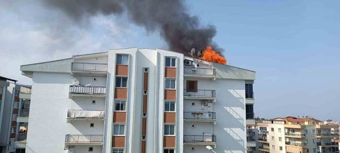 Elinde Sigarayla Uyuyakaldı, Çıkan Yangında Yaralandı