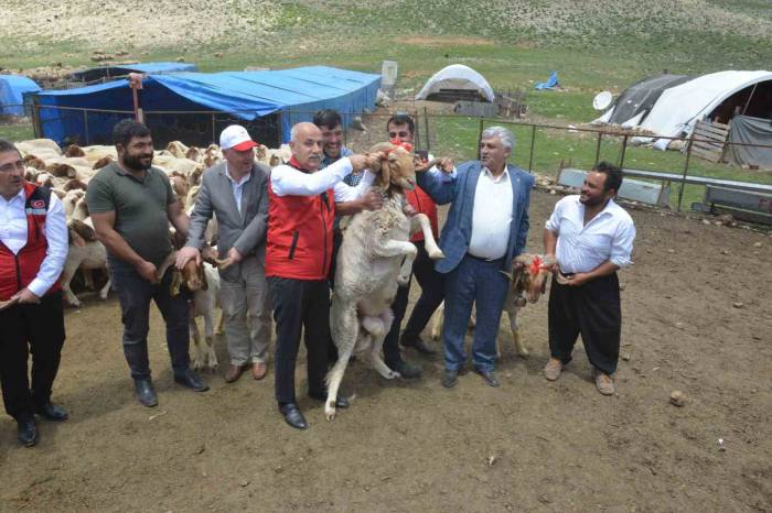 Depremzede Yetiştiricilere Karşılıksız 43 Bin 618 Hayvanın Dağıtımı Başladı