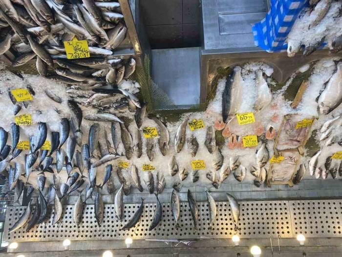Balık Fiyatları Düştü, Karadeniz Somonu 300 Yerine 100 Liradan Satılıyor