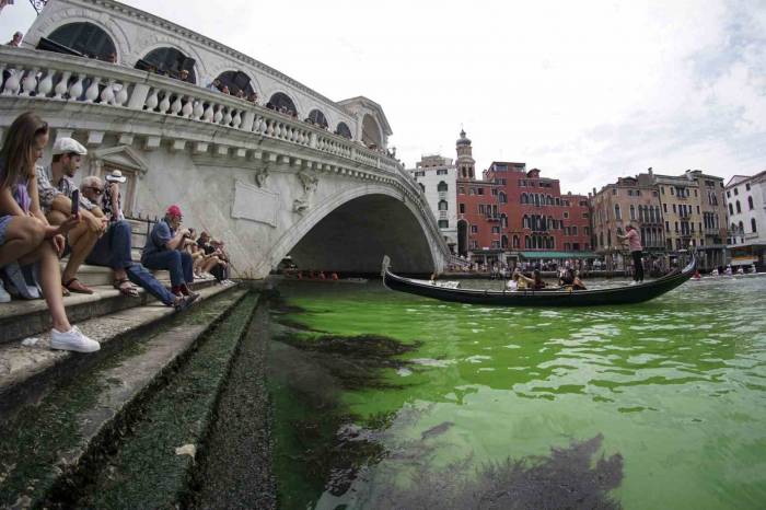 Venedik Kanalı Yeşile Büründü