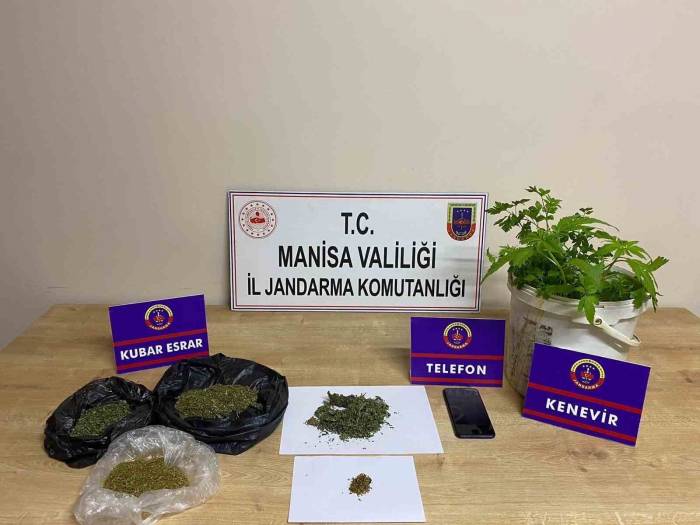 Manisa Jandarmasından 389 Uyuşturucu Operasyonu