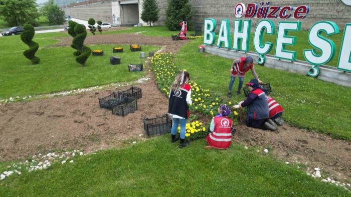 Rengarenk Çiçekler Toprakla Buluştu