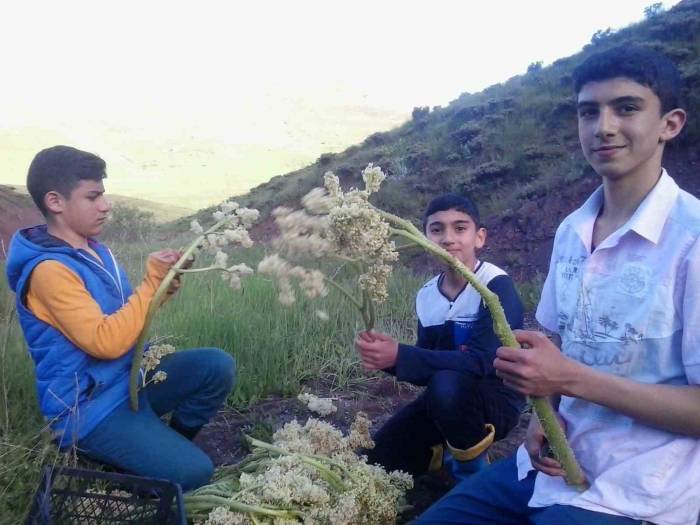 Eşgin Tezgâhlara Çıktı, Demeti 30 Lira