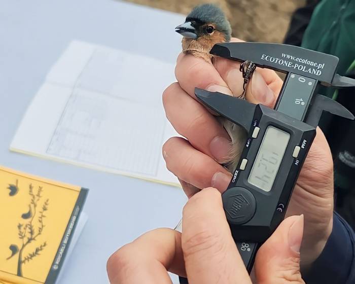 Kuşların Türlerini Ve Rotalarını Belirleyecek Çalışma: Halkalama İstasyonu