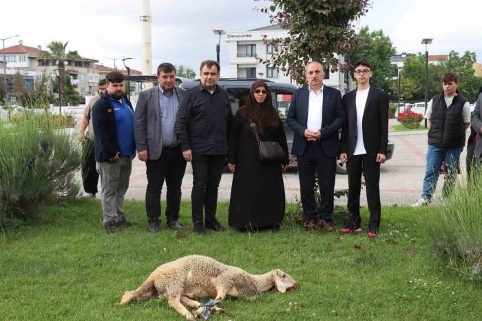 Seçimi Kazanan Cumhurbaşkanı Erdoğan İçin İlçe Belediyesinin Bahçesinde Koç Kestirdi