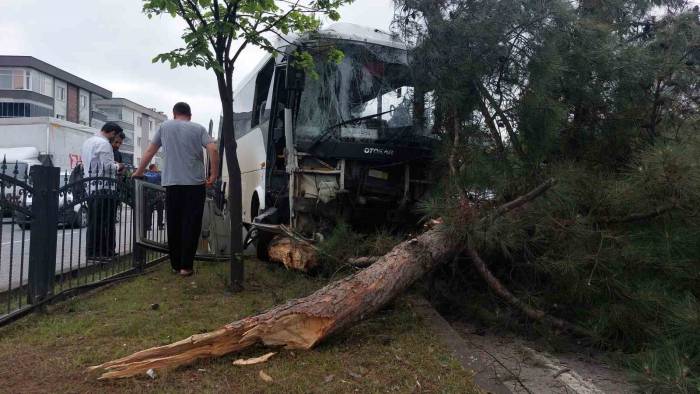 Samsun’da 9 Kişinin Yaralandığı İşçi Servisi Kazasında Polis, Yaralı Karga Yavrusuna Da Hastaneye Götürdü