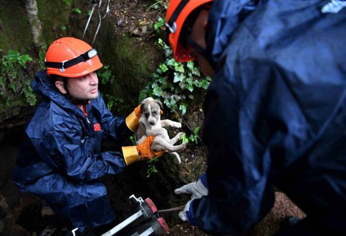 5 Metrelik Çukurda Mahsur Kalan Yavru Köpek Kurtarıldı