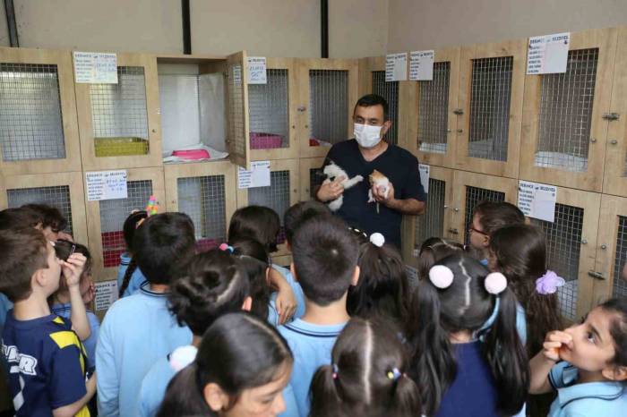 Bu Merkez Can Dostlara ’şifa’ Oluyor