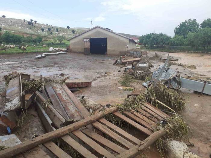 Elazığ’da Sağanak Yağış Hayatı Felç Etti, 105 Hayvan Telef Oldu