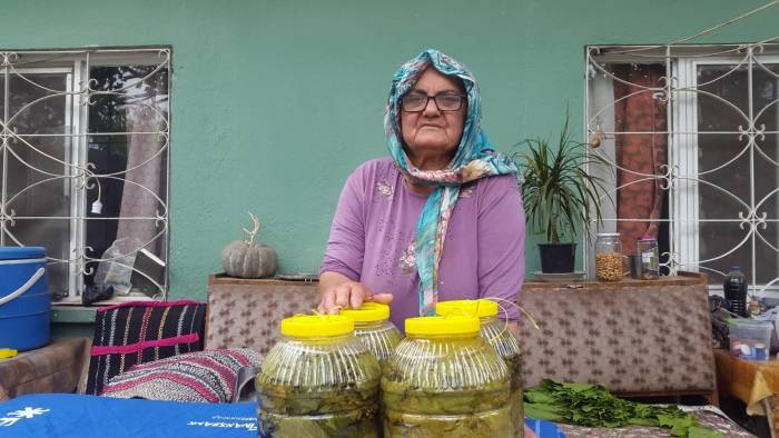 Evlerde Kışlık Salamura Yaprak Hazırlığı Başladı