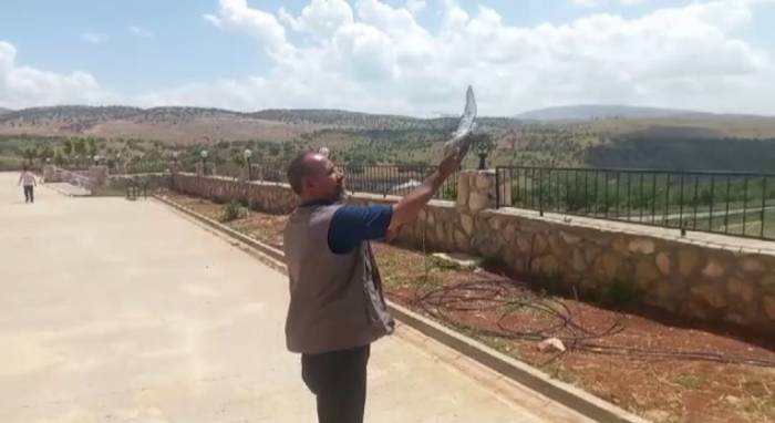 Okulda Mahsur Kalan Güvercin, Çalışanlar Tarafından Kurtarıldı