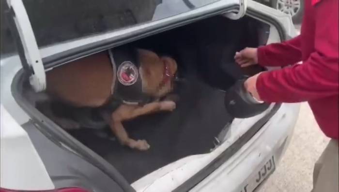 Aracın Bagajına Gizlenen Uyuşturucu Böyle Bulundu