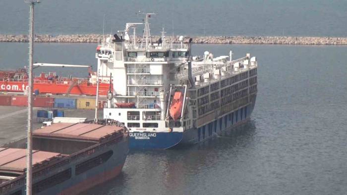 ’yüzen Ahır’ Bandırma’da