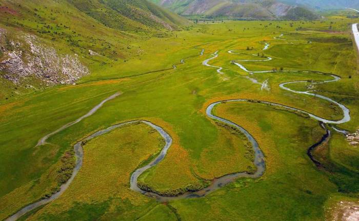 Sarı Çiçeklerle Süslenen Güzeldere Mendereslerinden Kartpostallık Görüntüler