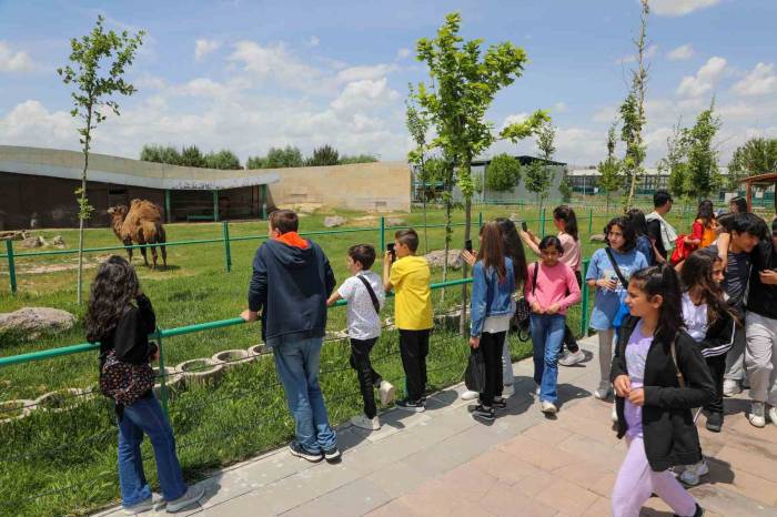 Talas’ın Öğrencileri ‘şehri Tanıyor’