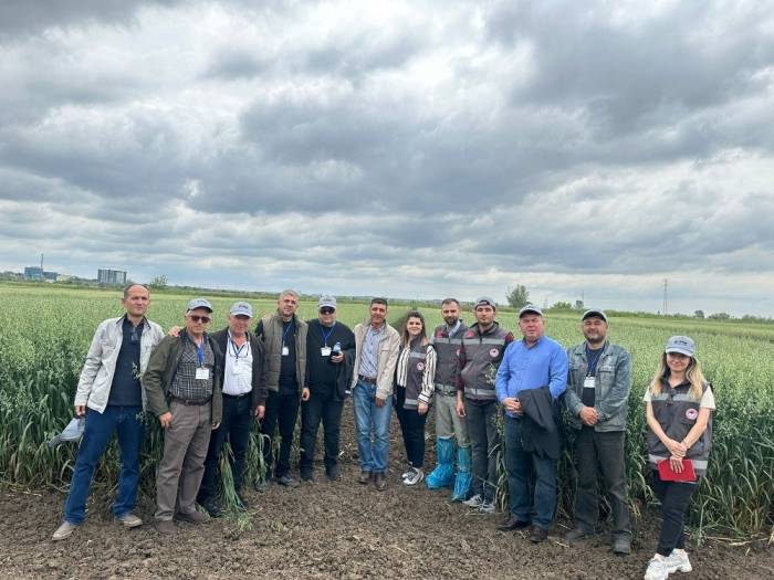 Deneme Amacıyla Ekilen Tahıl Ve Aromatik Bitkiler İncelendi