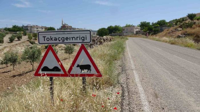 Bu Köyde 97 Seçmenden 96’sı Cumhurbaşkanı Erdoğan’a Destek Verdi