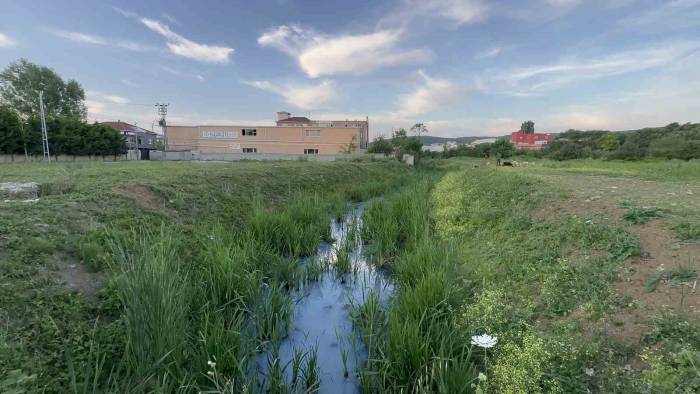 Arnavutköy’de İddiaya Göre Fabrikalardan Atılan Kimyasal Madde Derenin Rengini Değiştirdi