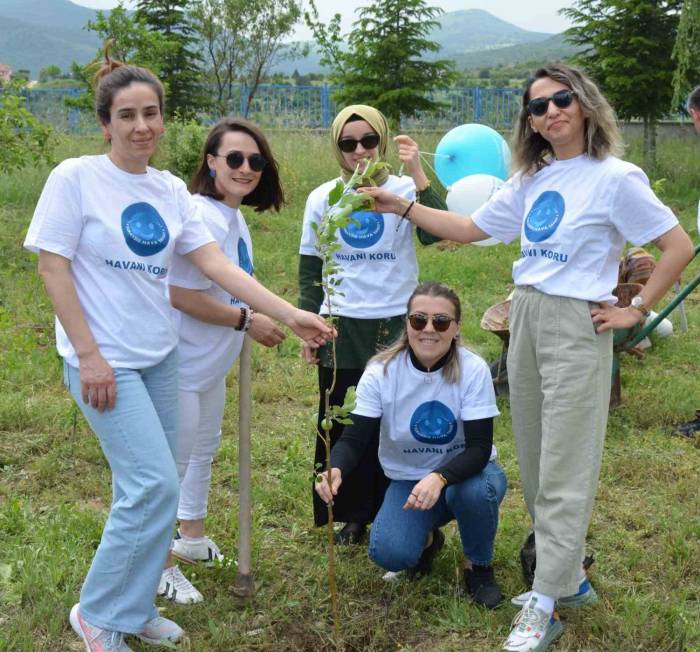 ‘dünya Tütünsüz Günü’ Sebebiyle Fidan Dikimi Gerçekleştirildi