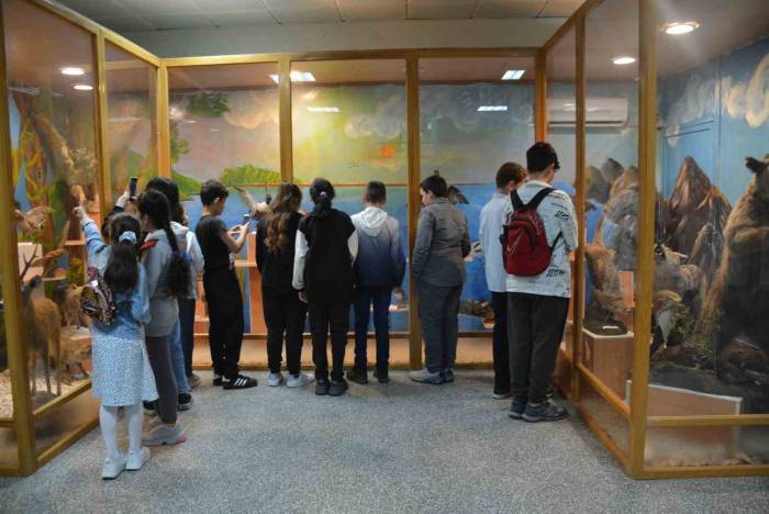 Doldurulmuş Hayvan Müzesi Öğrencilerin İlgisini Çekti