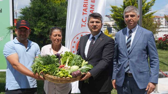 Edirne’de Örtü Altı Tarımla Üretilen Ürünler İstanbul Pazarında Alıcı Bulacak