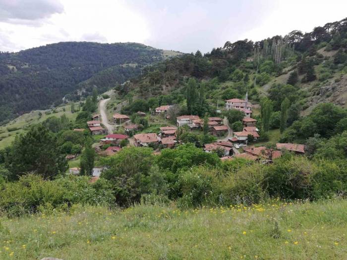 Bu Köyde Sandıktaki Tüm Oylar Cumhurbaşkanı Erdoğan’a Çıktı