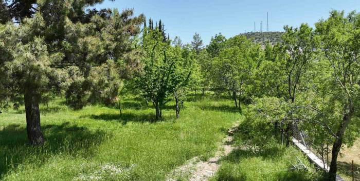 Büyükşehir Belediyesi Ormana’ya Kamp Ve Karavan Alanı Kazandırıyor